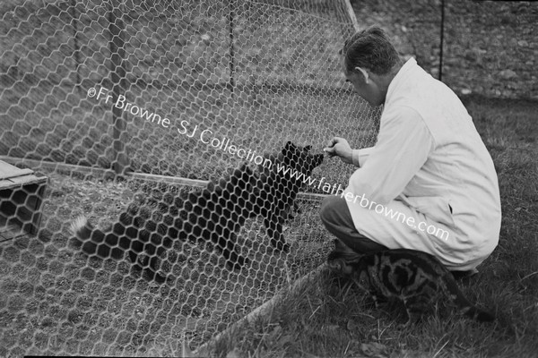 MR O'CDRISCOLL'S SILVER FOX FARM